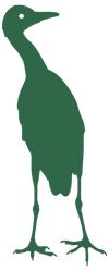 Silhouette of a tall bird, likely a crane, standing upright and facing left. The bird is filled with a solid green color against a light background, symbolizing the harmony of nature and kokua tree care on Maui.