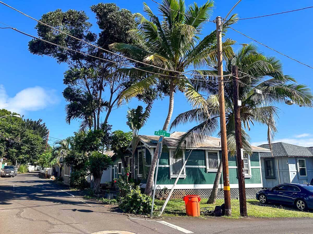 A green house with white trim sits on a sunny street corner lined with palm trees and power lines, reflecting the expert work of Kokua Tree Care. A street sign and bright orange trash bin are near the curb under a clear blue sky.