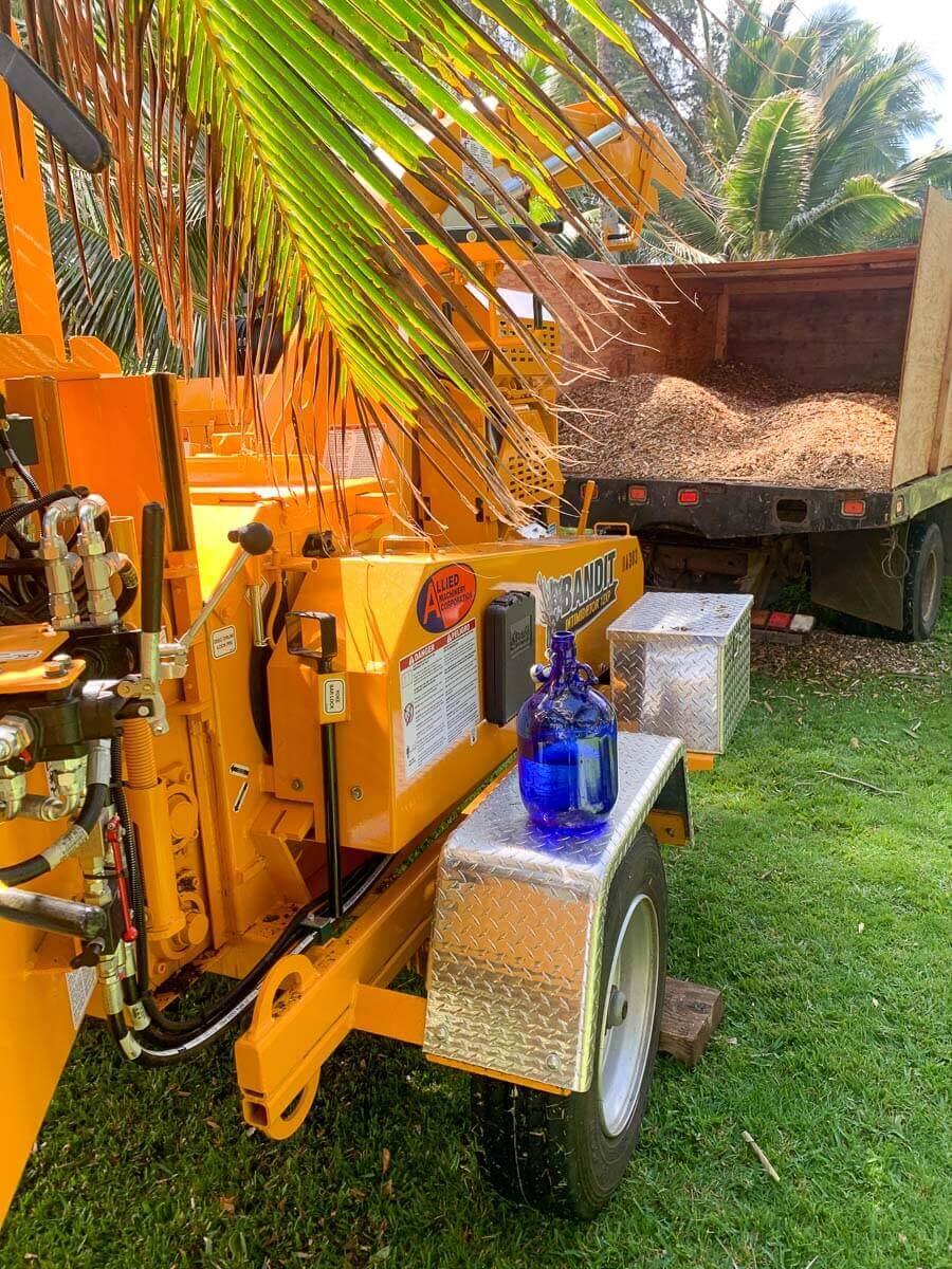 A large yellow wood chipper stands on grass near a truck loaded with wood chips—part of Kokua Tree Care's work. A blue glass jug sits on the chipper as palm fronds hang overhead and sunlight filters through this tree care Maui scene.