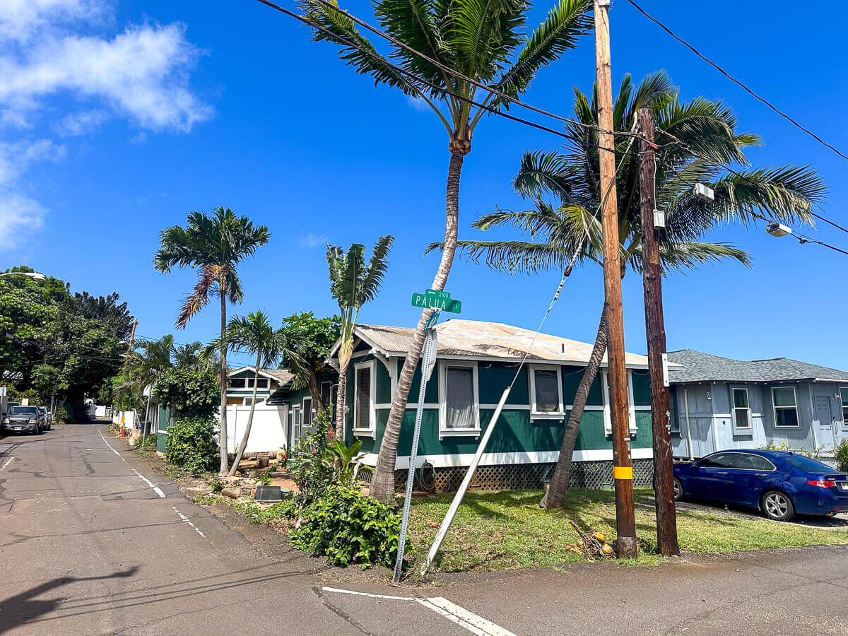 A small green house with white trim sits on a corner beneath tall palms cared for by Kokua Tree Care, with blue skies above. A street sign reads "Palani," and a blue car is parked nearby on the quiet neighborhood street.
