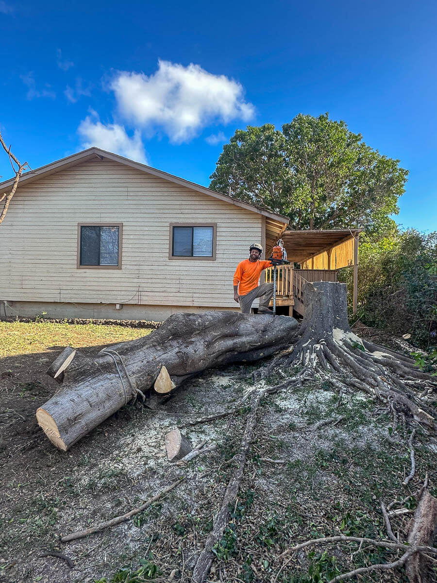 Two people stand on a wooden porch next to a large, freshly cut tree trunk and stump in a yard beside a light-colored house—showcasing results from kokua tree care with beautiful Maui trees and blue sky in the background.