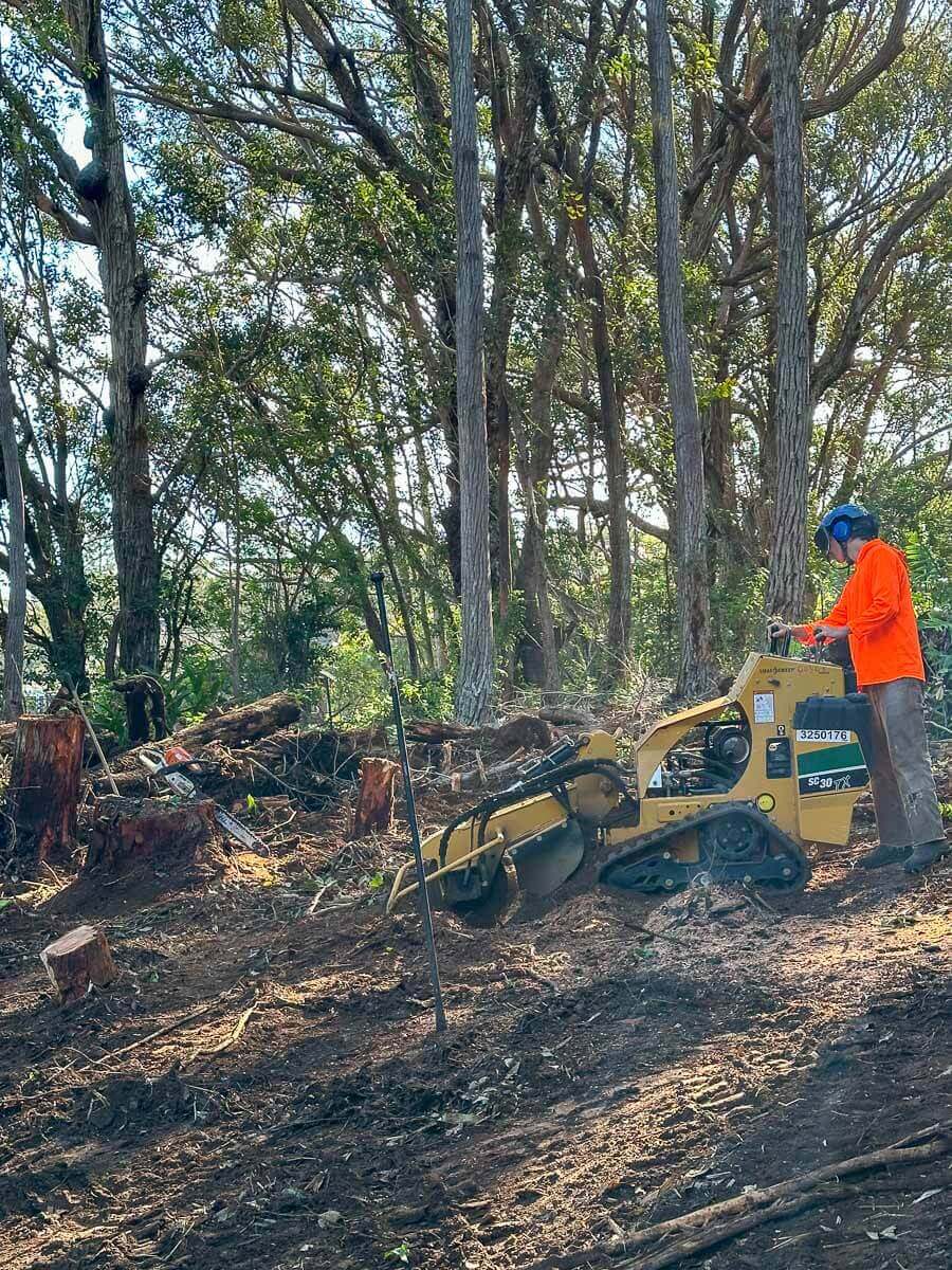 A person in an orange safety jacket and helmet operates a yellow stump grinder in a forested area, showcasing kokua tree care among tree stumps and tall trees under daylight.