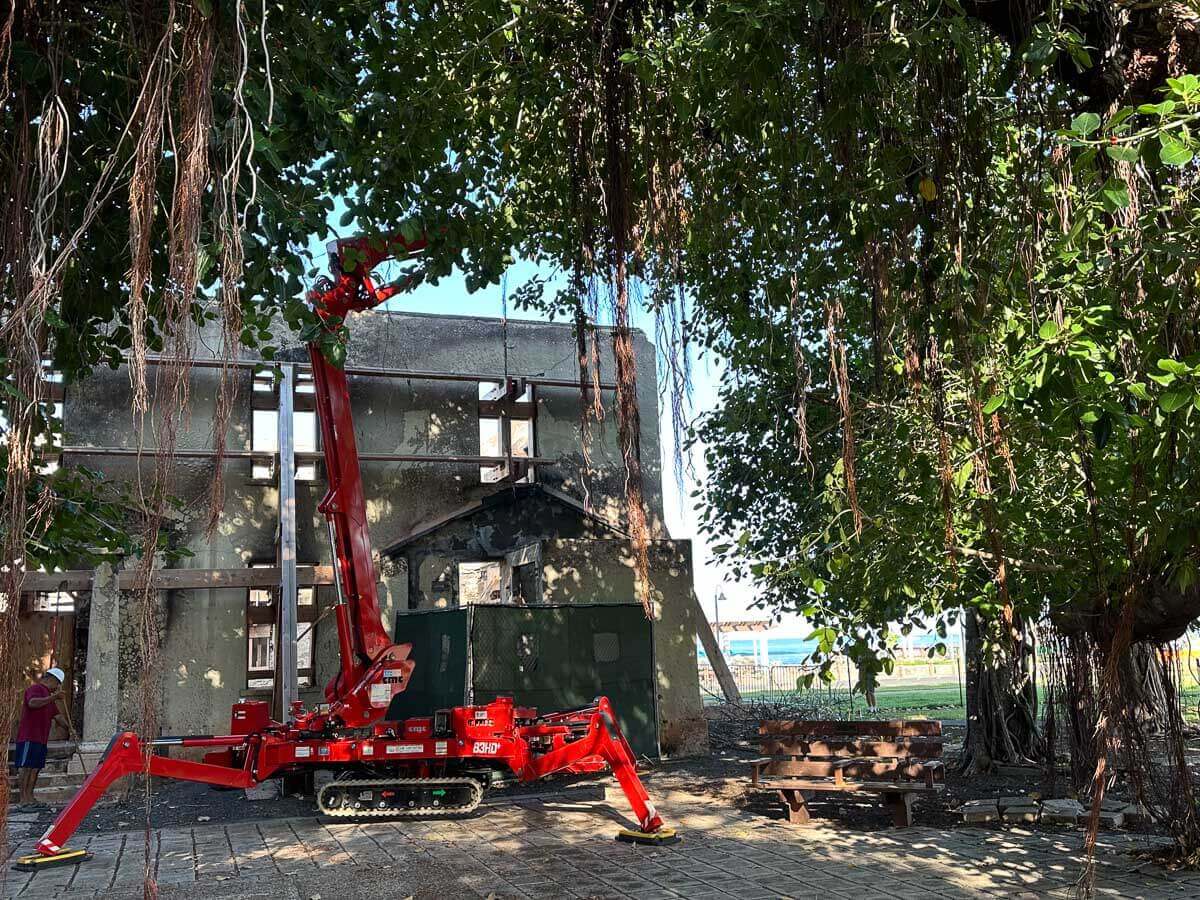 A red spider lift crane from Kokua Tree Care is positioned next to a weathered, partially open building surrounded by overgrown trees and hanging vines on a sunny day, offering expert tree care Maui services.