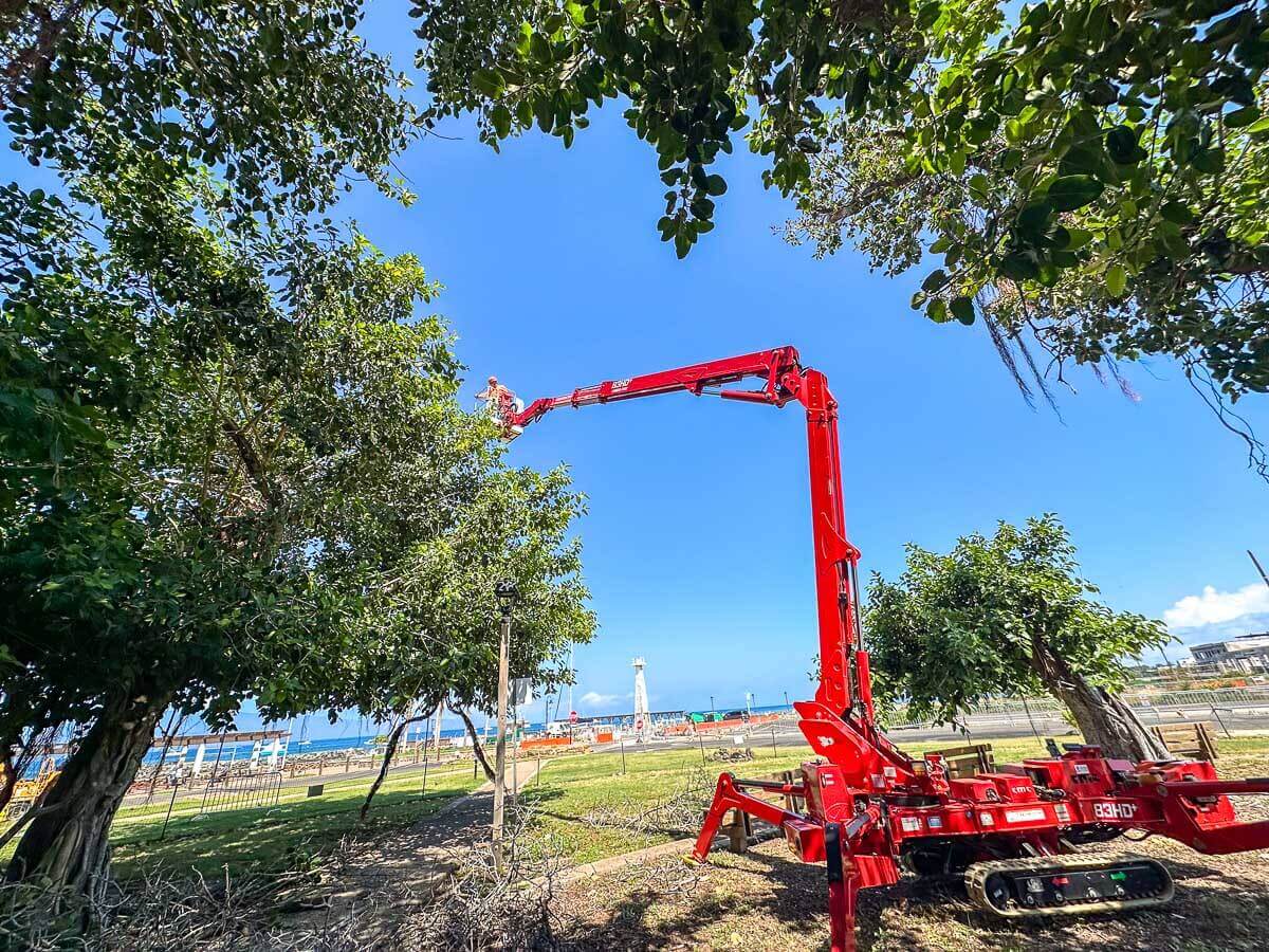 A red hydraulic cherry picker extends upwards to trim tree branches in a park-like area, with blue sky and distant industrial structures visible—showcasing Kokua Tree Care’s professional tree care Maui services.